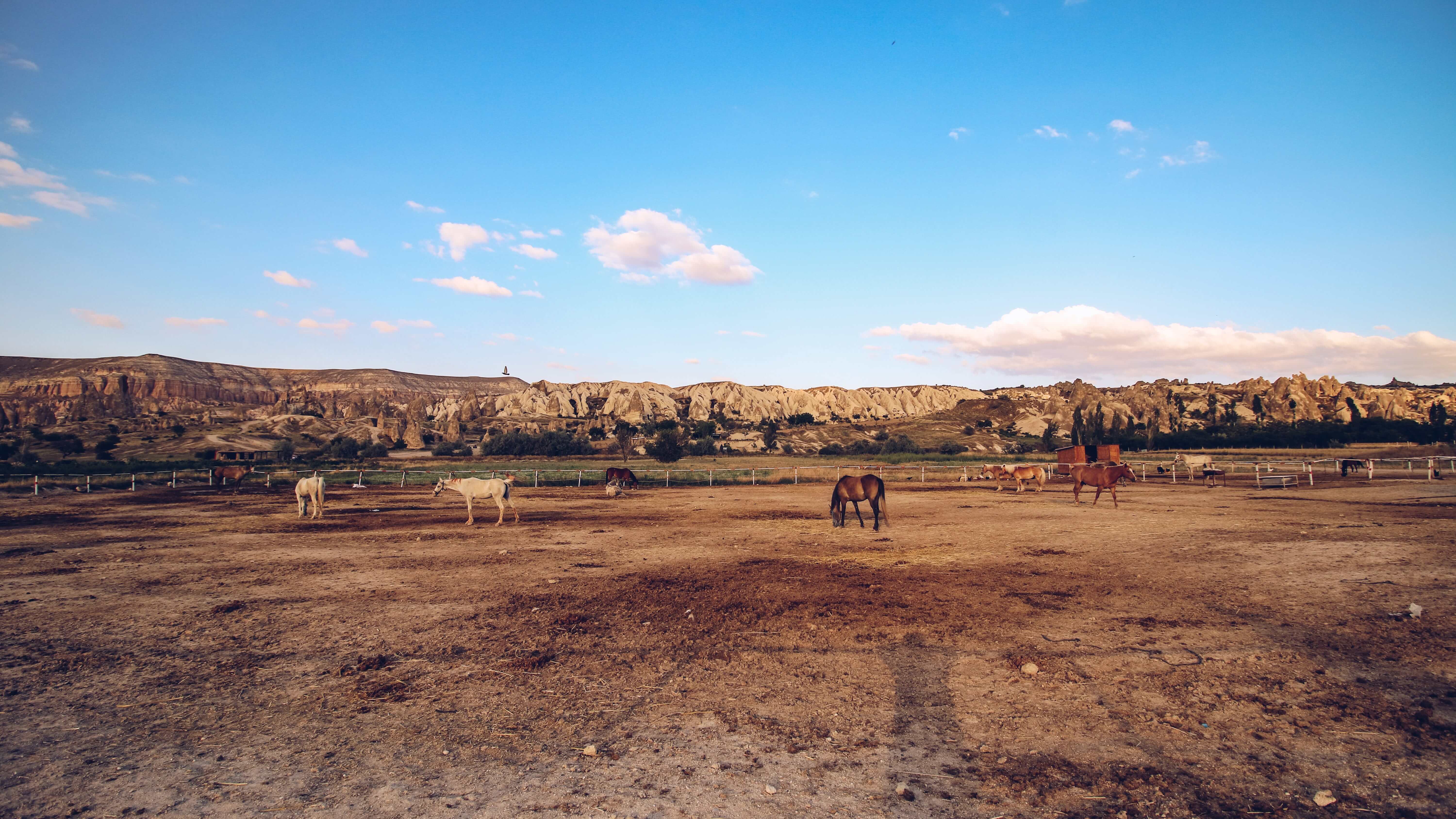 OUR ADVENTUROUS HIKE THROUGH CAPPADOCIA: BEST PLACE TO SEE HOT AIR BALLOONS