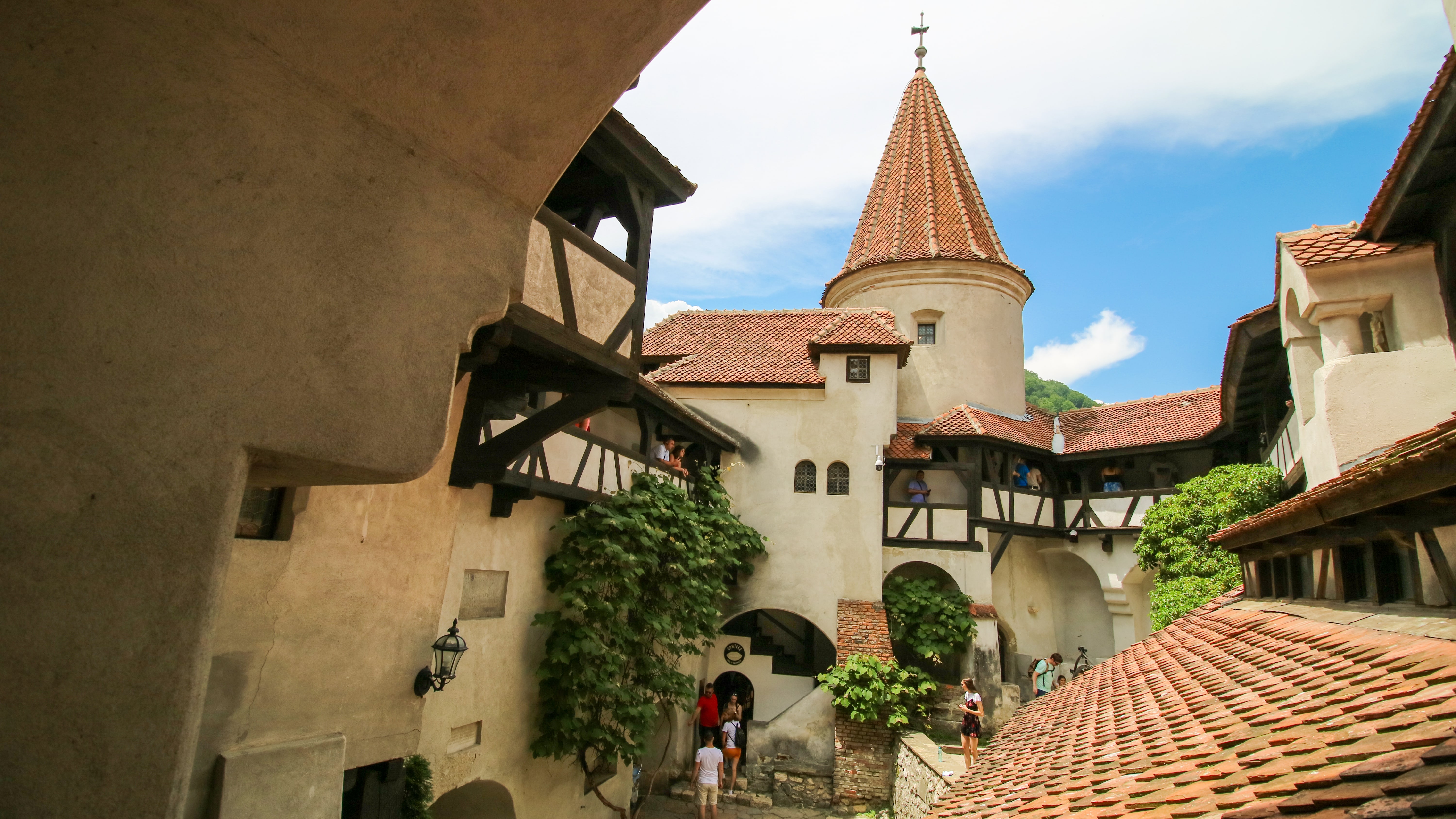 TRAVEL GUIDE TO MYTHICAL TRANSYLVANIA