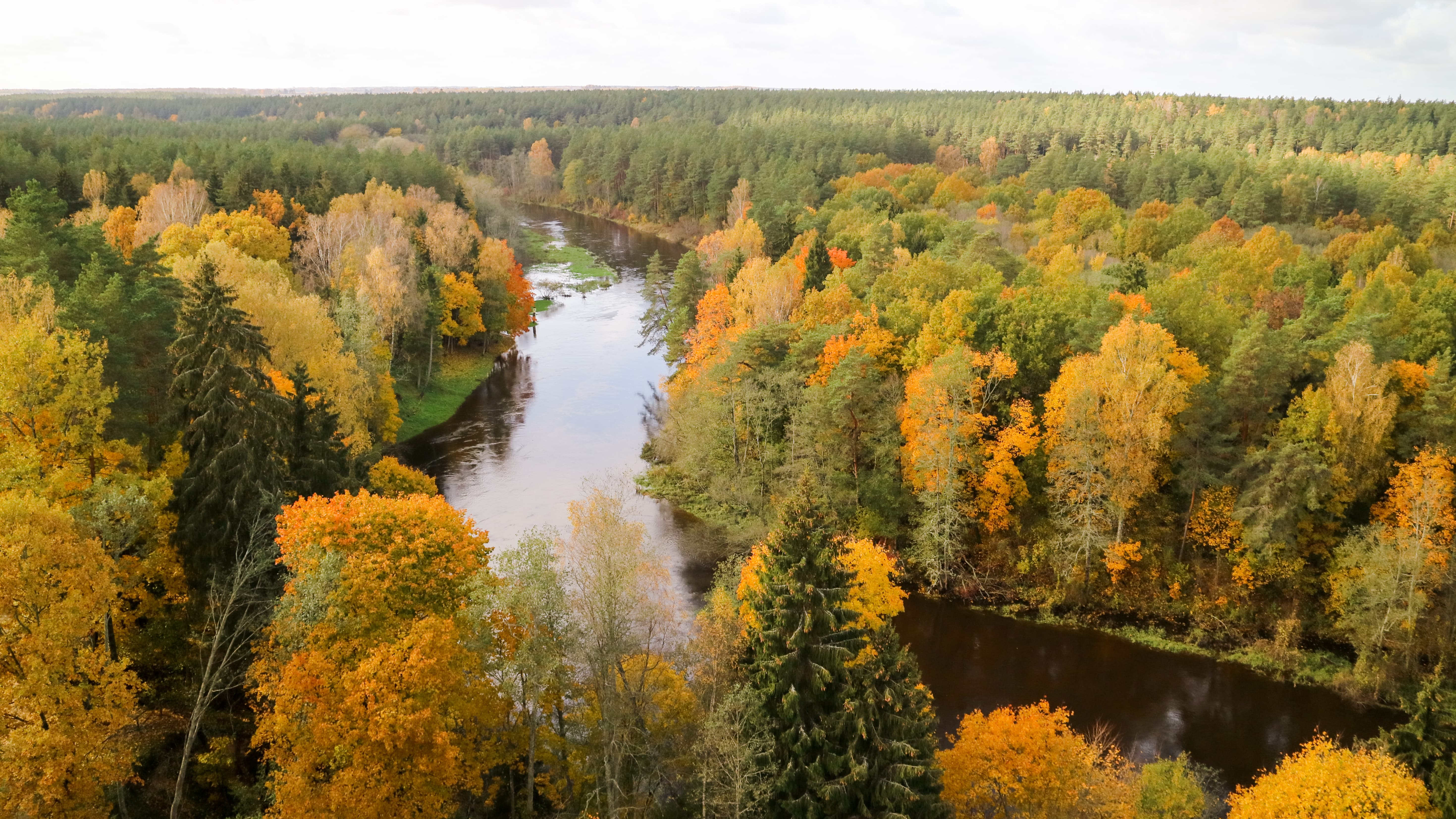 MOST STUNNING OBSERVATION TOWERS IN LITHUANIA