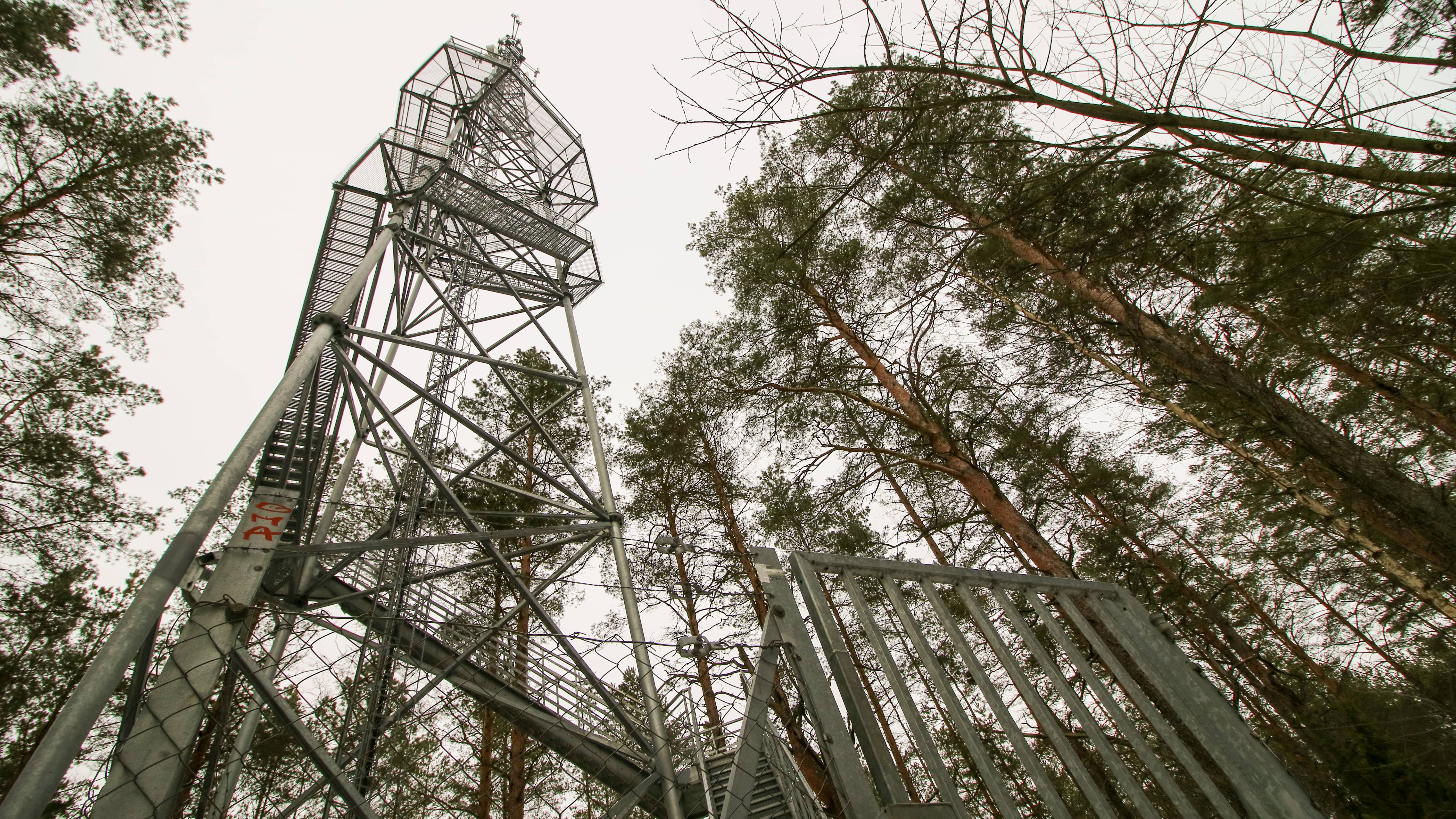 MOST STUNNING OBSERVATION TOWERS IN LITHUANIA